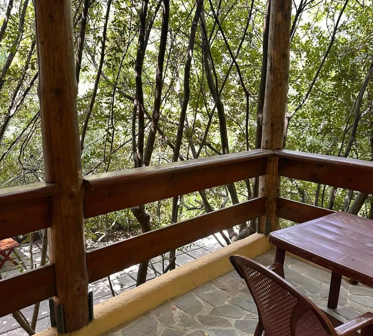 Hotel Dafinat Bogove