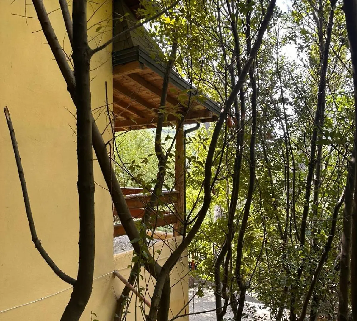 Hotel Dafinat Bogove